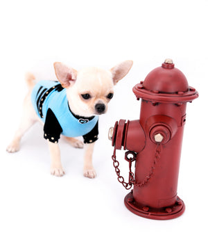 Hermes Birkin Teacup Boy