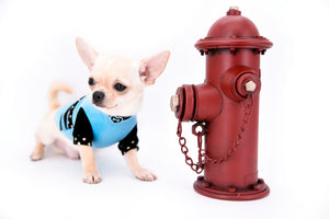 Hermes Birkin Teacup Boy