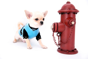 Hermes Birkin Teacup Boy