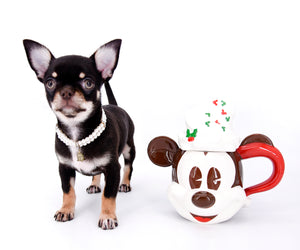 Aurora Micro SC Chocolate Green Eyes