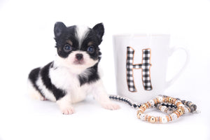 Smore Boy Just perfection