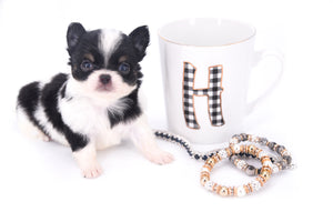 Smore Boy Just perfection