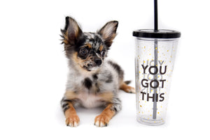 Armani Blue Merle Boy