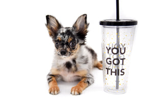 Armani Blue Merle Boy