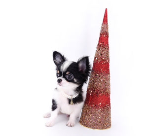 Smore Boy Just perfection