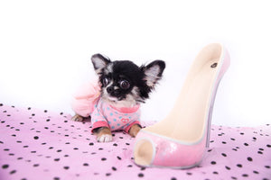 Diva Micro LC Girl