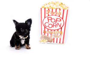 Micro LC Boy