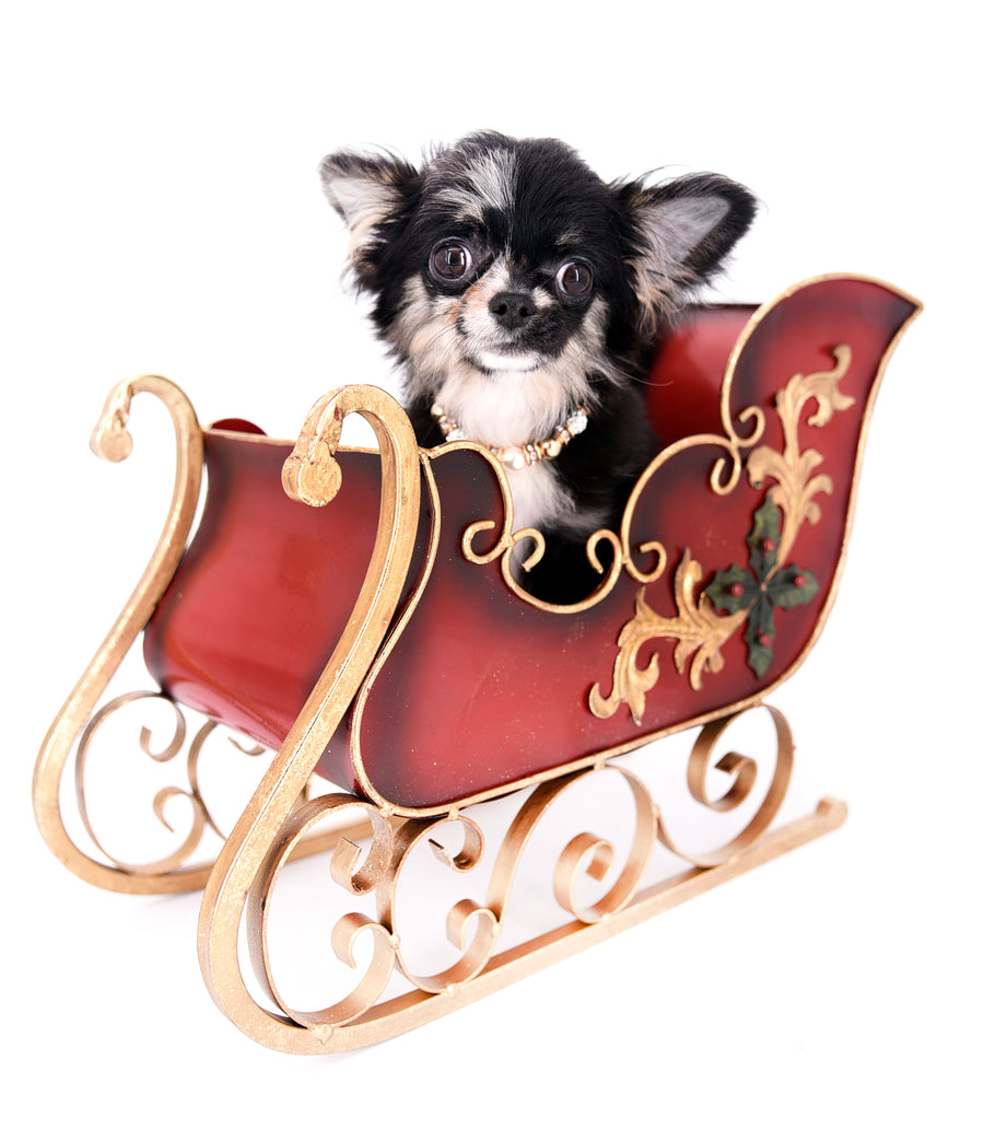 Diva Micro LC Girl
