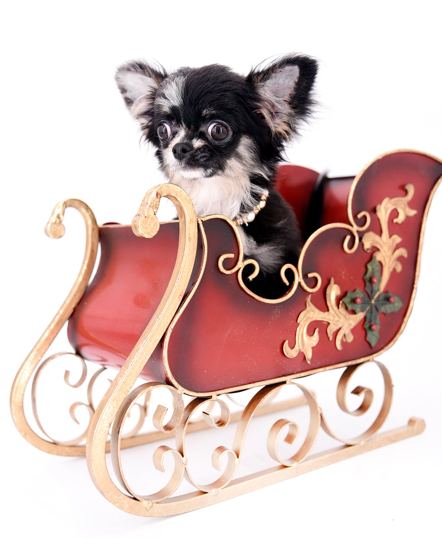 Diva Micro LC Girl