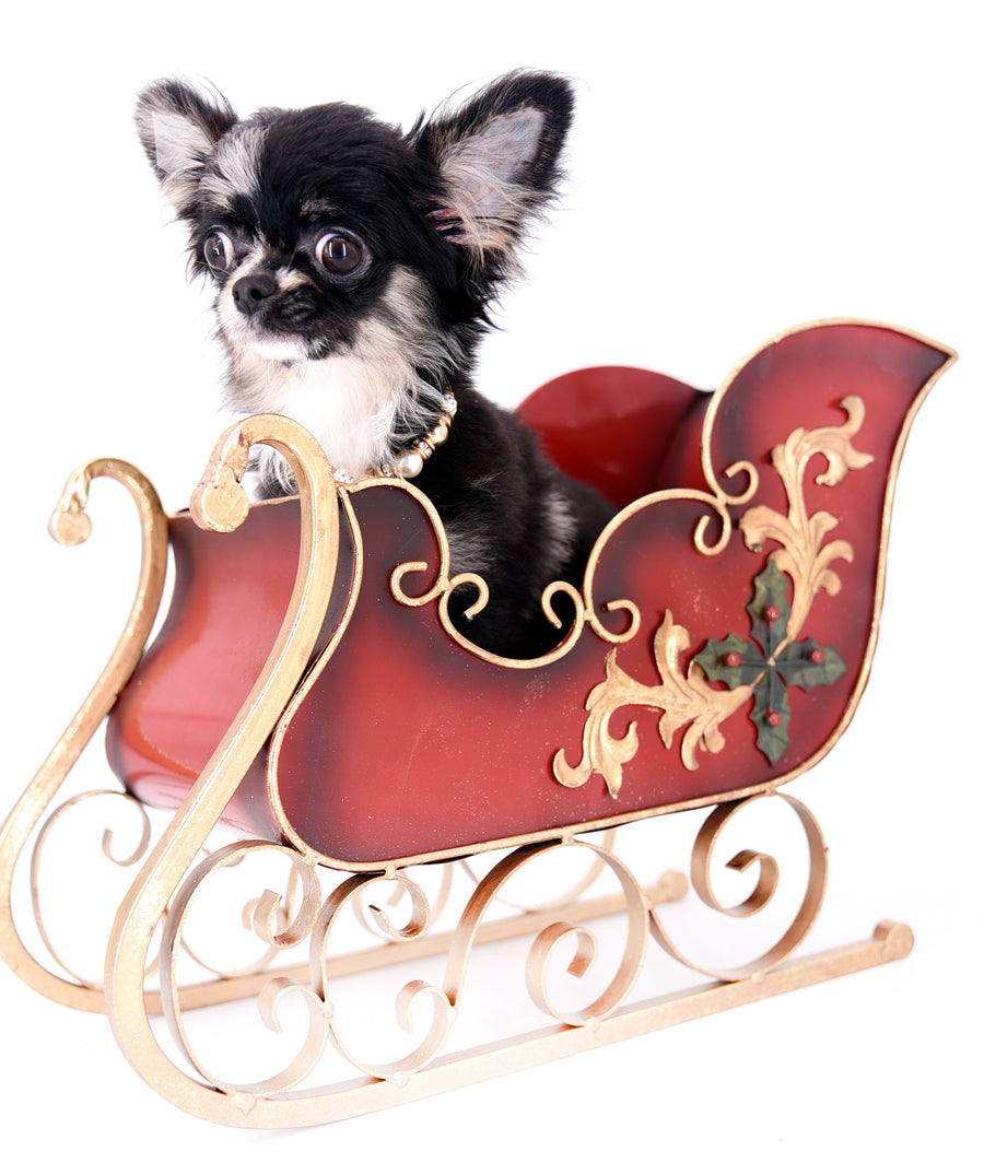 Diva Micro LC Girl