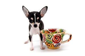 Anastasia Tricolor Girl