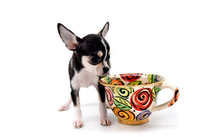 Anastasia Tricolor Girl