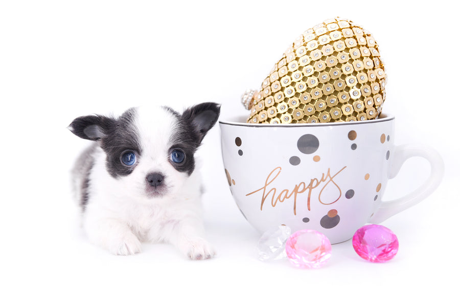 Chanel Micro Teacup Lavender