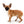 Lady Red Sable Girl