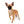 Lady Red Sable Girl