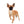 Lady Red Sable Girl