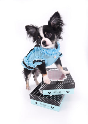 Pretty Lilo Teacup and loving boy.