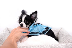 Pretty Lilo Teacup and loving boy.