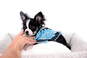 Pretty Lilo Teacup and loving boy.