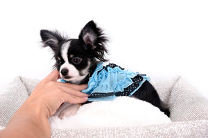 Pretty Lilo Teacup and loving boy.