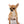 Julio SC Sable Boy