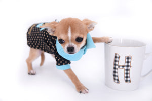 Micro Teacup Doll Face Boy