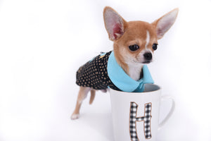 Micro Teacup Doll Face Boy