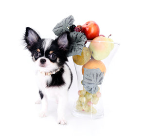 Smore Boy Just perfection