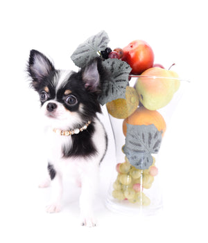 Smore Boy Just perfection