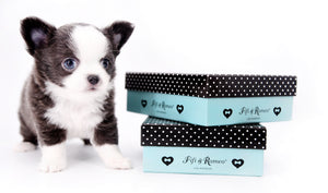 Rome Blue Lavender Blue Eyes Micro
