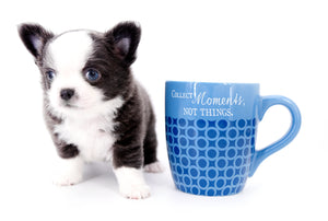 Rome Blue Lavender Blue Eyes Micro