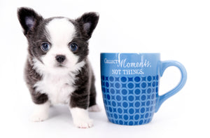 Rome Blue Lavender Blue Eyes Micro