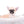 Milan West Teacup SC Blue Fawn Boy