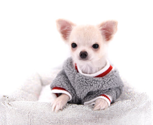 Suri Micro Teacup LC White Boy