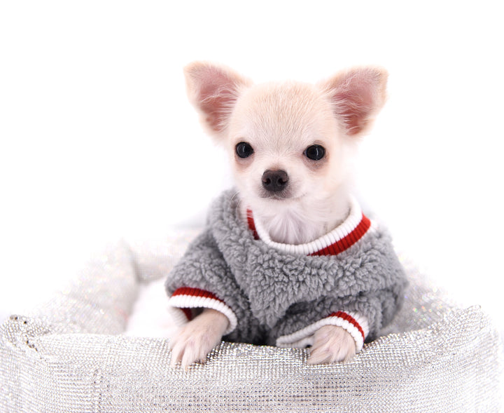Suri Micro Teacup LC White Boy