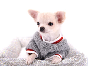 Suri Micro Teacup LC White Boy