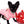 Konay LC Teacup Extreme short muzzle
