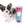 Marley Blue Merle LC Boy