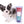 Marley Blue Merle LC Boy