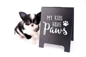 Smore Boy Just perfection