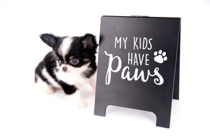 Smore Boy Just perfection