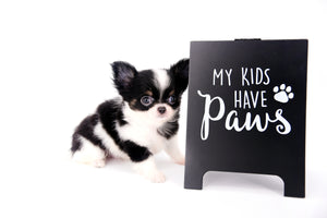 Smore Boy Just perfection