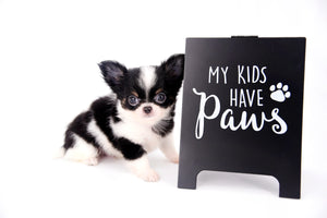 Smore Boy Just perfection