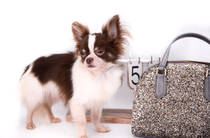 Romeo Tiny Micro Boy