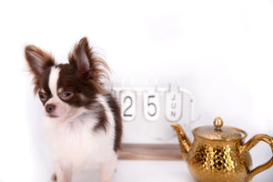 Romeo Tiny Micro Boy