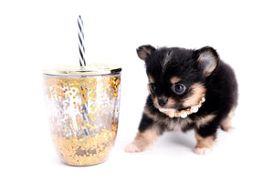 Melanie Micro Teacup Tricolor Girl