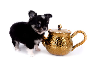 Micro Tricolor Camille