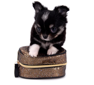 Micro Tricolor Camille