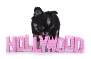 Micro Tricolor Camille