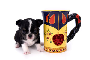 Adonis Extreme Doll Face Boy